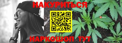 прущие крисы Будённовск