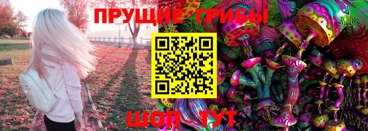 Кызыл  Псилоцибиновые грибы мухоморы  Псилоцибиновые грибы Cubensis  Вход с VPN 